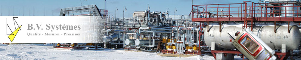 bv systemes spcialiste